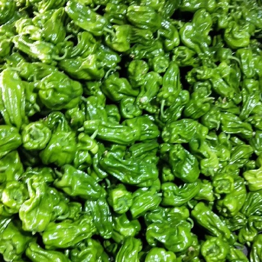 麻辣椒