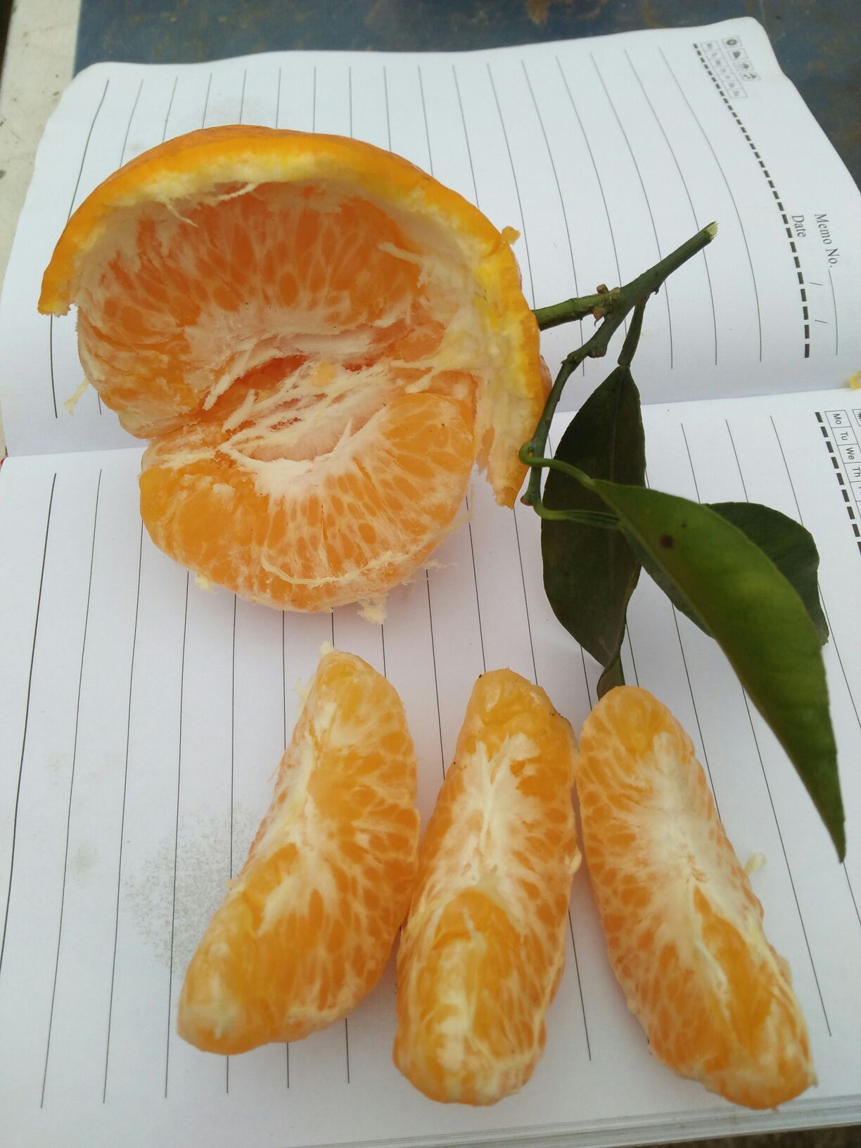 耙耙柑零下几度会冻(耙耙柑最低温度)
