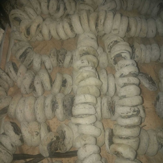 阳城县农家柿饼 散装