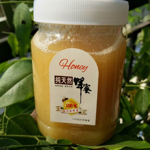 南宁野生蜂蜜 塑料瓶装 95%以上 2年以上