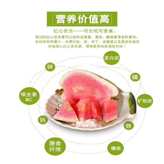 平和县红心芭乐 200-250克