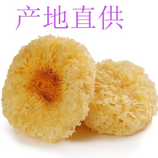 古田县古田银耳 特级