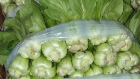 邯郸北方小油菜 1~2两