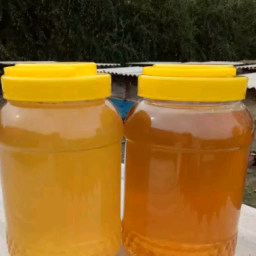 通化百花蜜 塑料瓶装  2年 