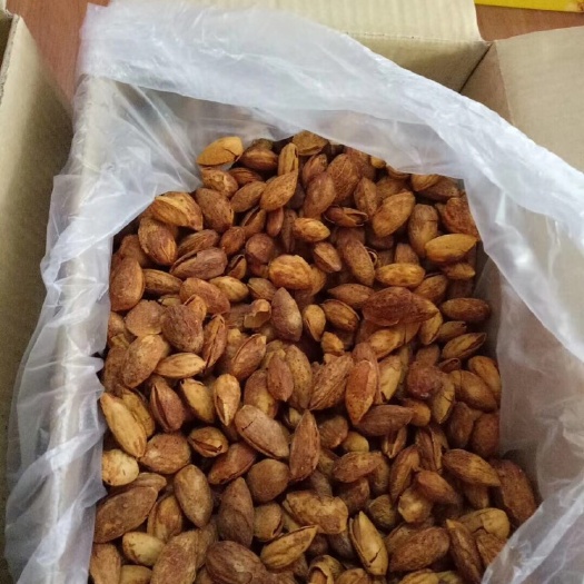 揭西县巴旦木 半年 带壳 