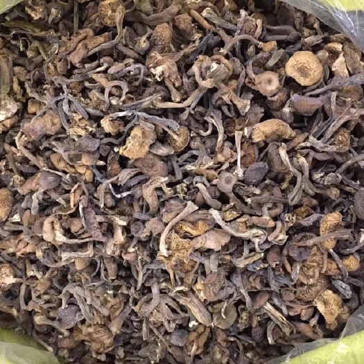 牡丹江蘑菇
