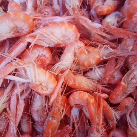 滨州红虾