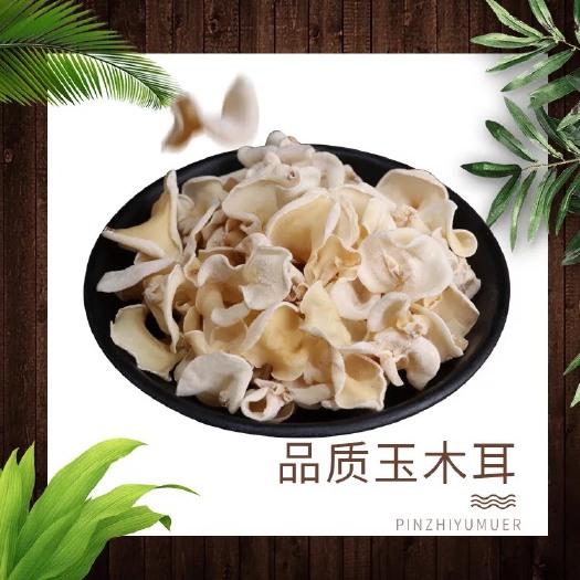昆明 木耳干货云耳白玉儿野生食用菌菌菇500g包邮