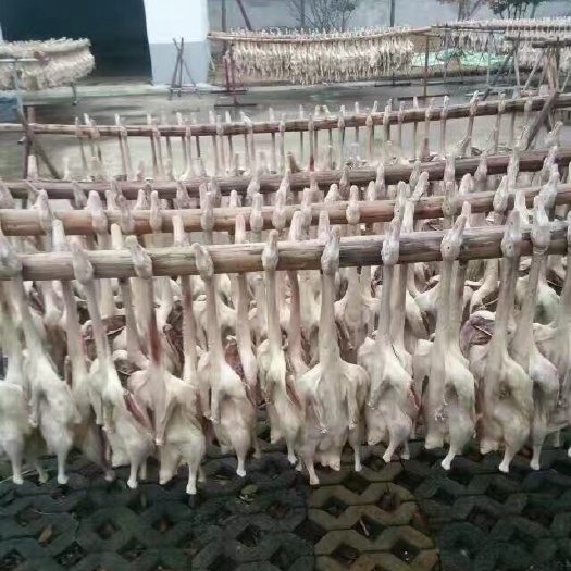 南京板鸭 1个月