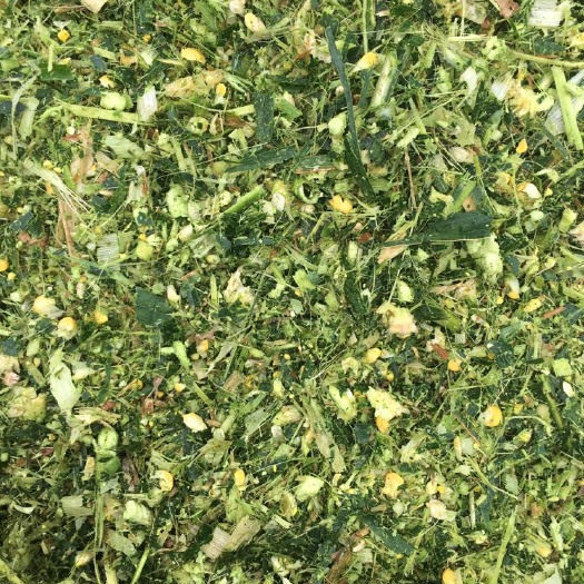 唐山秸秆饲料 
