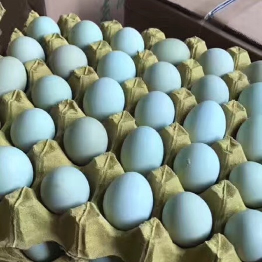 厦门绿壳鸡蛋 箱装 食用