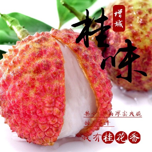 广州 广东增城桂味荔枝