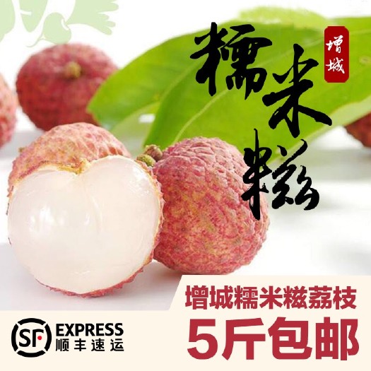 广州糯米糍荔枝 2cm