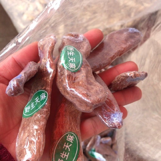 文山市天麻 
