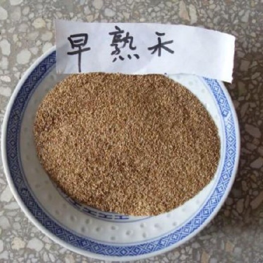 嘉祥县护坡草种子 