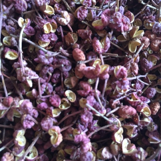 兰州大红花椒 干花椒 一级 红花椒 干花椒 一级