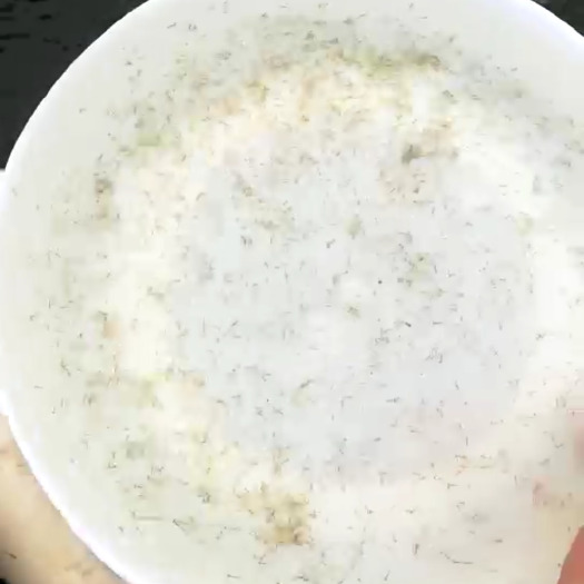 广州草鱼水花  草鱼苗水花