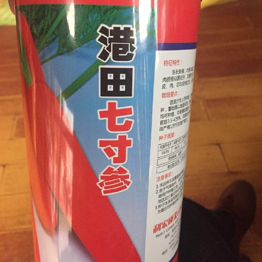红萝卜种子 种子 