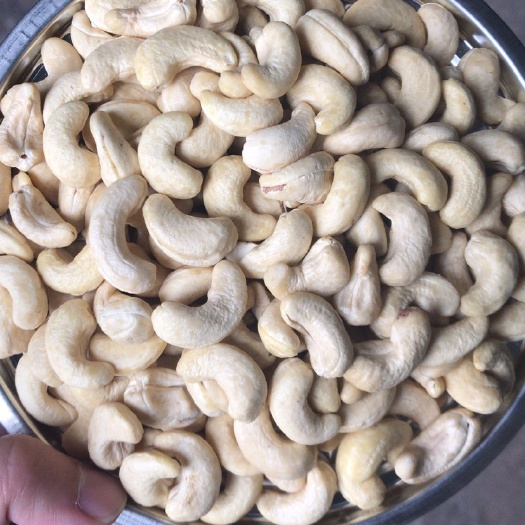 广州腰果 6-12个月 包装 