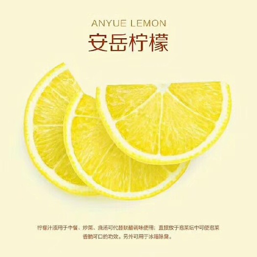 深圳尤力克柠檬 