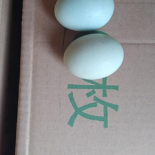 梁山县 绿壳鸡蛋新鲜土鸡蛋