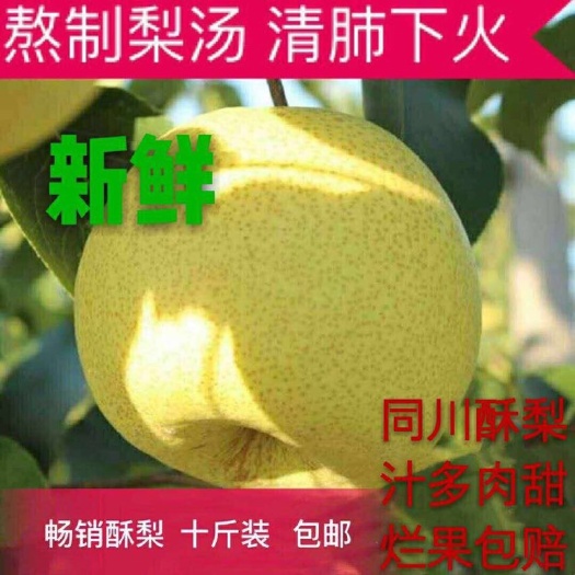 太原酥梨 250-300g 65mm以上