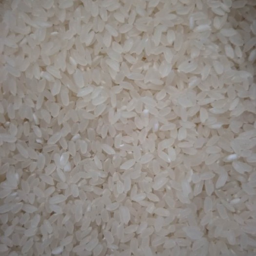 翁牛特旗长粒香大米 有机大米 晚稻 一等品 