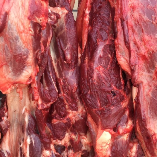 临沂山东生驴肉新鲜肋排驴腿肉排骨真空驴马肉现宰优质食材炖煮烧烤