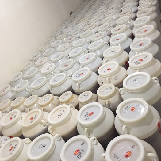 腾冲市百花蜜 2年以上 42 本品不能代替药物