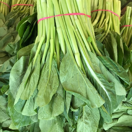 西安尖叶菜心 25~30cm
