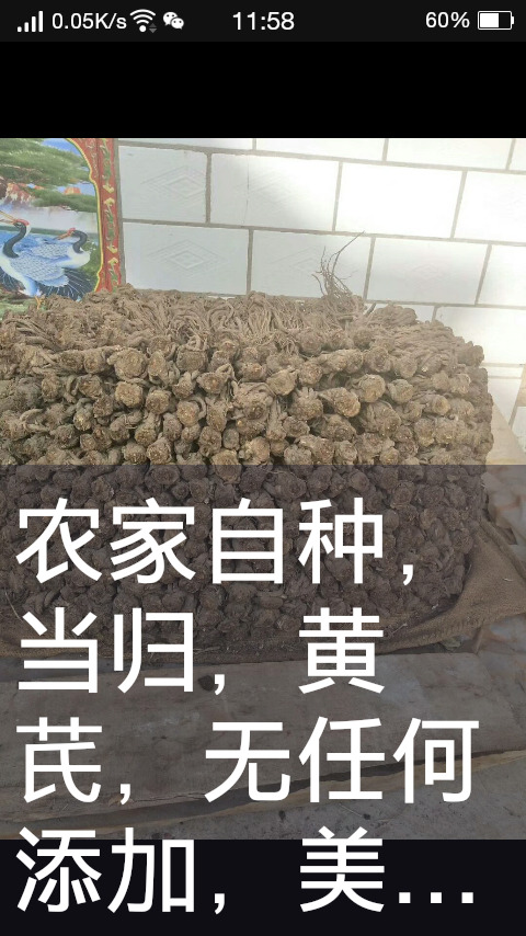 岷县岷当归