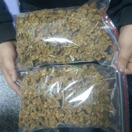 云霄县枇杷花茶 袋装 特级
