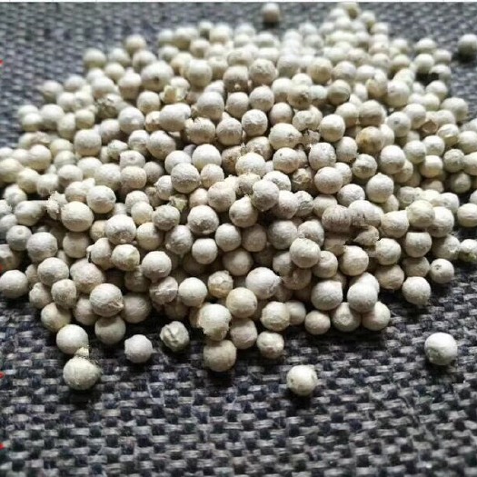 广州白胡椒