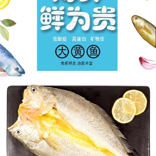 霞浦县冷冻黄花鱼