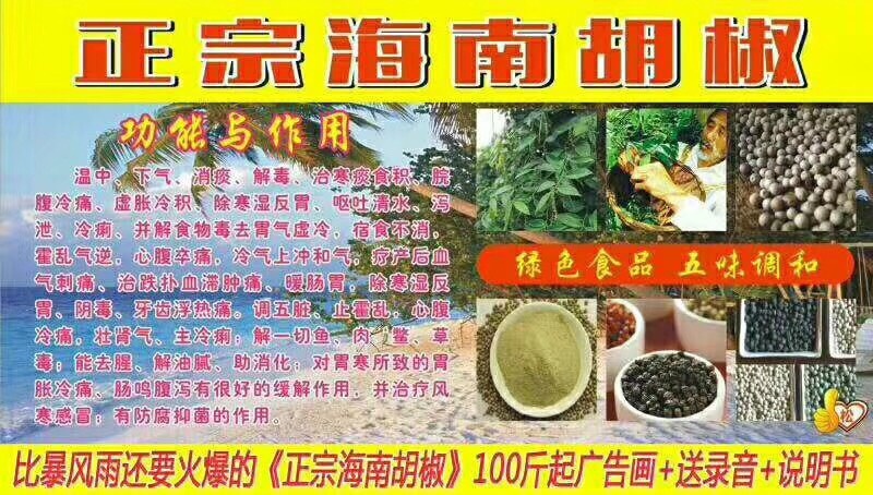 广州黑胡椒