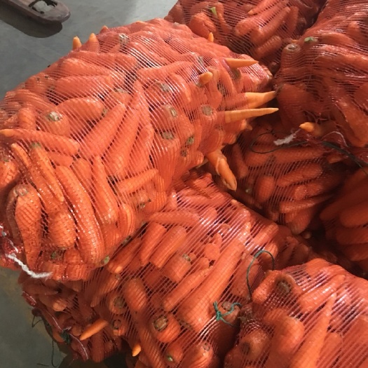 寿光市三红胡萝卜 10cm以下 3两以上 3~4cm 
