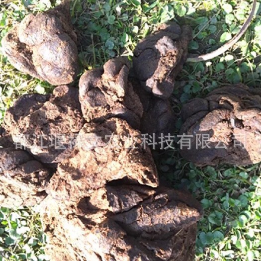禽畜粪 四川成都周边大量供应干牛粪