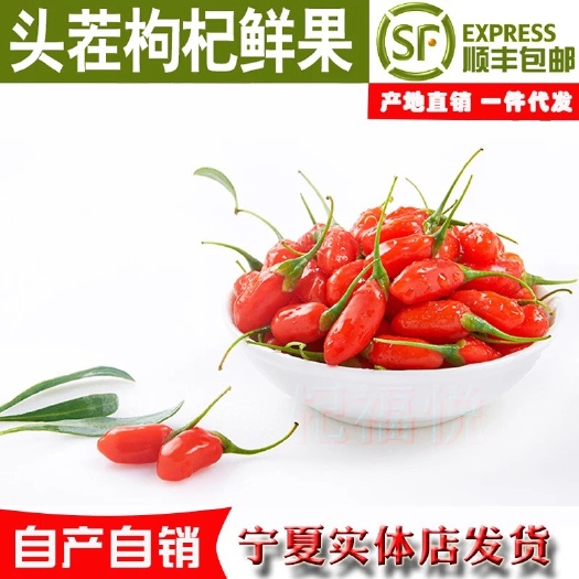 中宁县中宁鲜果枸杞 特优级  特大鲜枸杞，，领鲜上市