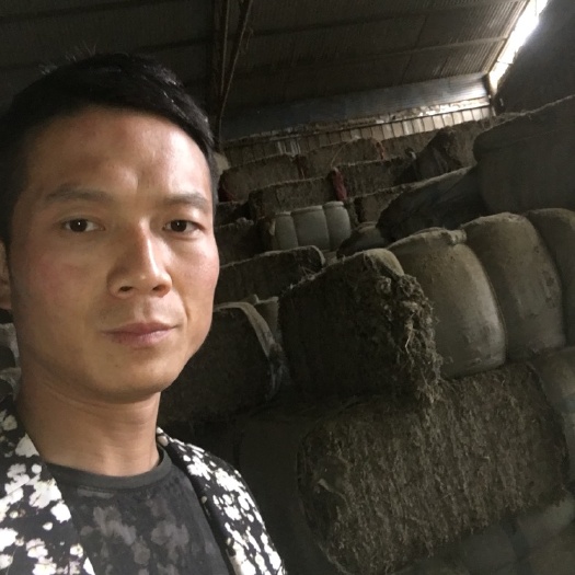 乾县 艾叶 手工捋叶  无杂质 无杆 干度百分之99