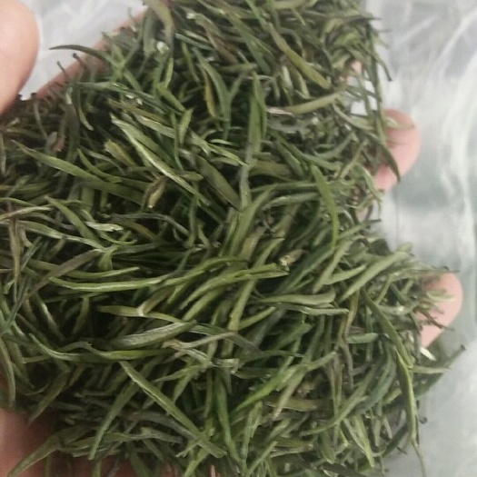 湄潭县茶青 散装 一级 