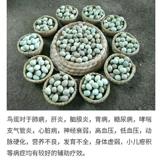 济宁桂花雀蛋 食用 散装