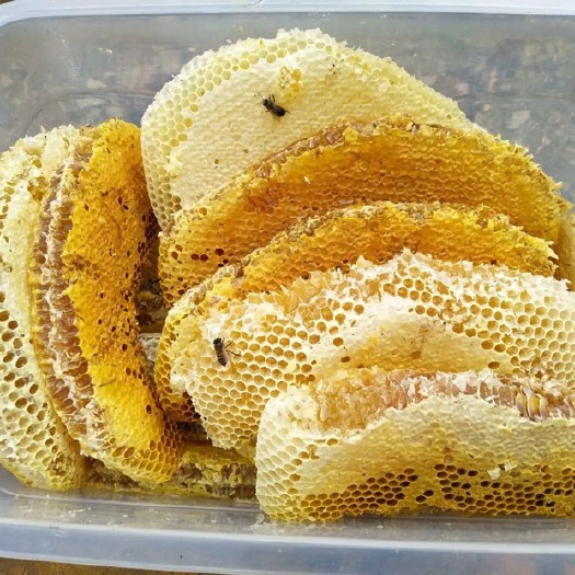 云龙县云南高原蜜 玻璃瓶装  2年 