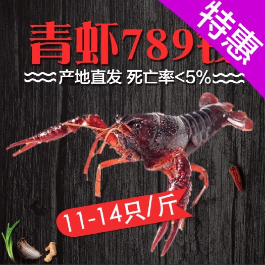 公安县荆州小龙虾 大红 产地直销发全国