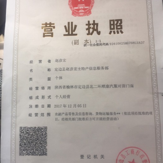 定边县牛角椒 15~20cm 靑色 微辣