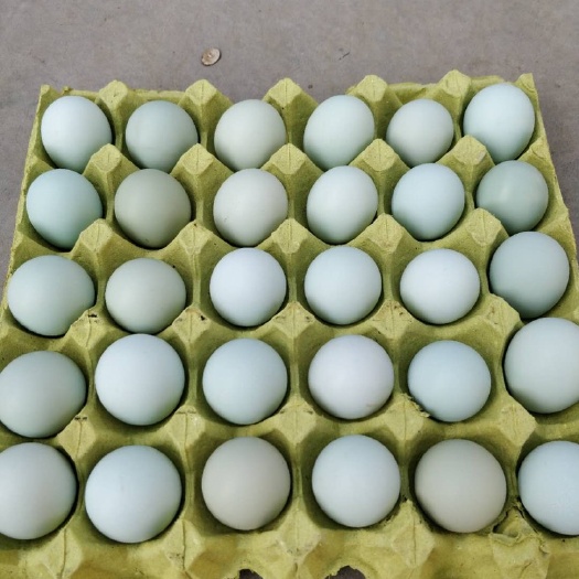 东台市绿壳蛋 食用 箱装