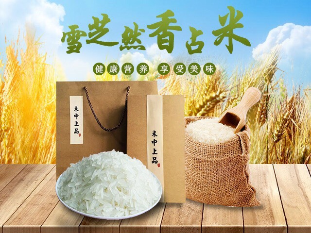 象牙香占 一等品 中稻 籼米