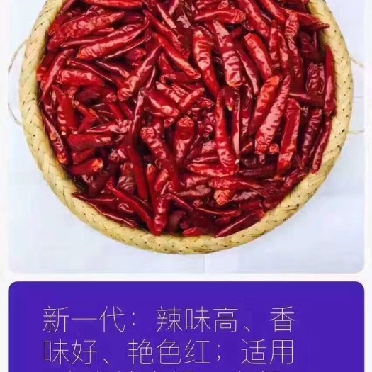 成都新一代干辣椒