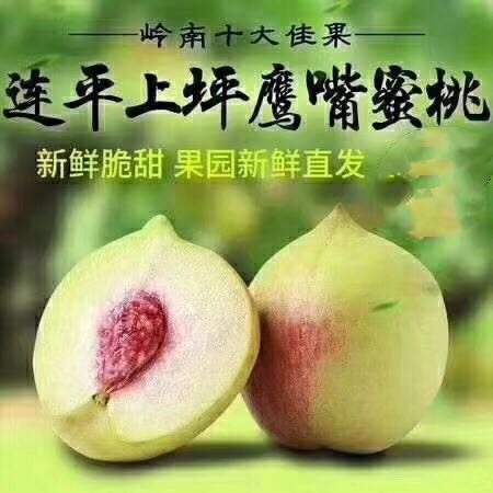 和平县鹰嘴蜜桃  8斤装中果，连平鹰嘴桃 甜脆爽 岭南十大佳果