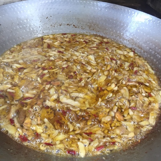 云龙县鸡枞菌 野生 6cm~9cm 白皮鸡枞 鲜货 
