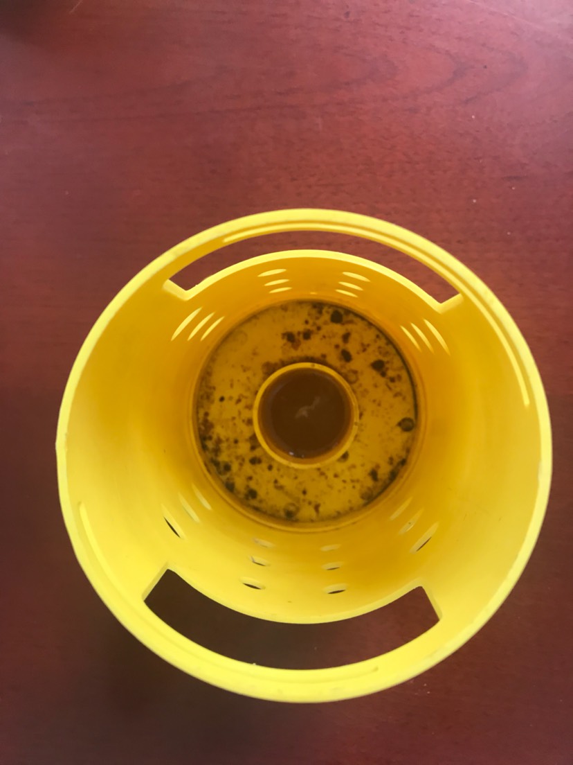 信息素蚊蚁蟑果蝇诱捕器，北京水光科技
